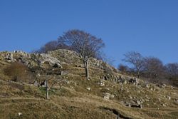 Alpi_Apuane (374), Alpinismo (498), Gr_Croce_Nona (107), Monte Croce (80)